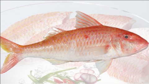 Cá Phèn Đỏ (Gói 500Gram, Làm sạch)